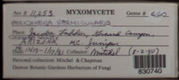 Image Associated With the Occurence